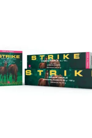 Acme - Strike Shop on line Giulius Pet Shop Offerta Del Giorno