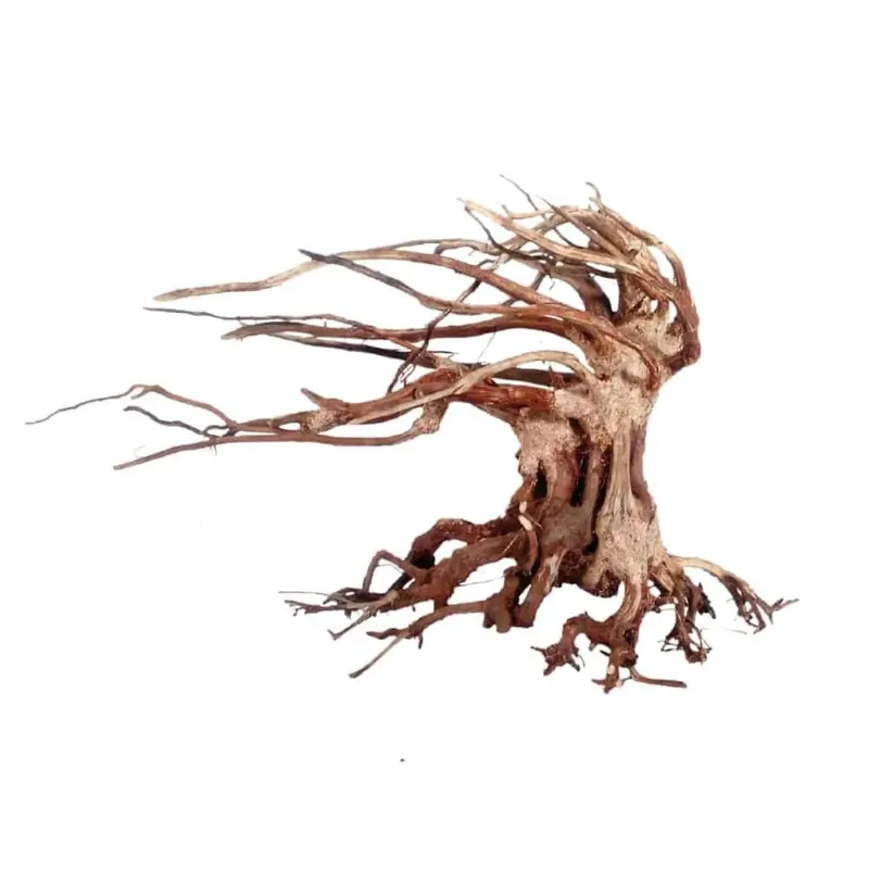 Legno Oriental Wind Non Perdere