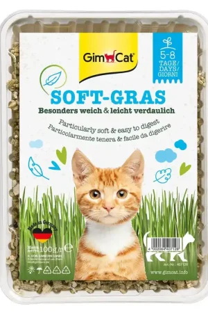 Gimcat Soft Grass Erba per Gatto Esclusivo