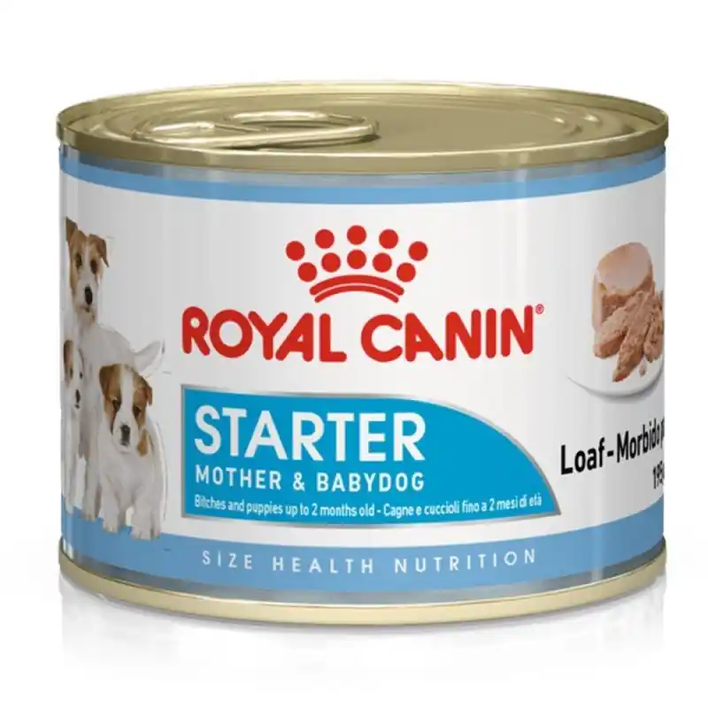 ROYAL CANIN STARTER MOUSSE GR.195 Esclusivo