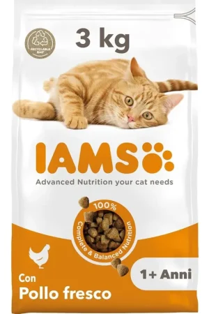 Iams Cat Pollo Subito Disponibile