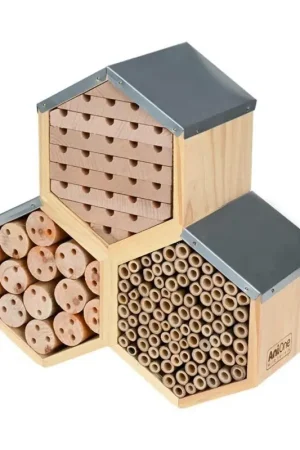 A Buon Prezzo AniOne Casa per Insetti Favo